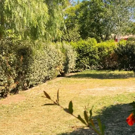 Mobil Animaux Admis - 4 Pers. - Api-1-52-2373 Camping *